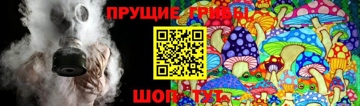 Галлюциногенные грибы Psilocybe  Вход с VPN  Сланцы 