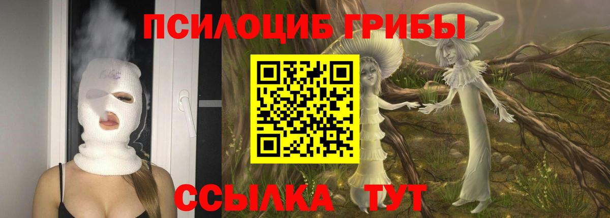 Псилоцибиновые грибы прущие грибы Сланцы